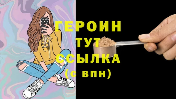 мдпв Ельня