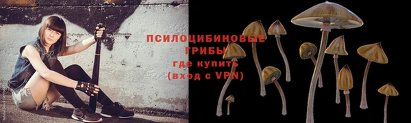 мескалин Новокубанск