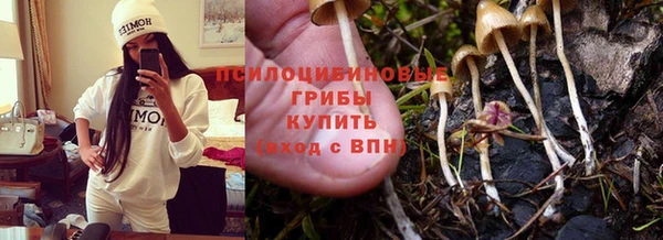 мескалин Новокубанск