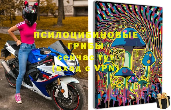 МДМА Новодвинск
