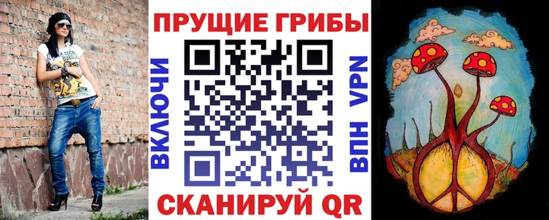 где купить   Пудож  ссылка на мегу ссылка  Псилоцибиновые грибы ЛСД 